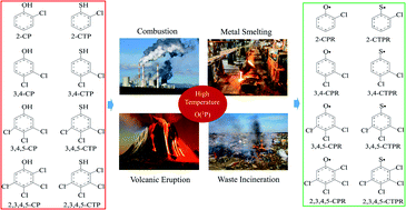 Graphical abstract: Mechanism and kinetic properties for the complete series reactions of chloro(thio)phenols with O(3P) under high temperature conditions