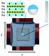 Graphical abstract: Sensitivity of PS/CoPd Janus particles to an external magnetic field