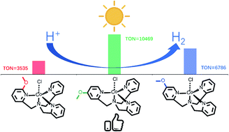 Graphical abstract: Electronic effects on polypyridyl Co complex-based water reduction catalysts