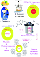 Graphical abstract: Green sonochemistry assisted synthesis of hollow magnetic and photoluminescent MgFe2O4–carbon dot nanocomposite as a sensor for toxic Ni(ii), Cd(ii) and Hg(ii) ions and bacteria