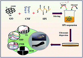 Graphical abstract: High-performance soy protein-based films from cellulose nanofibers and graphene oxide constructed synergistically via hydrogen and chemical bonding