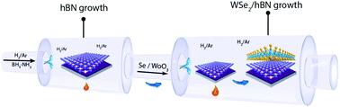 Graphical abstract: A two-step chemical vapor deposition process for the growth of continuous vertical heterostructure WSe2/h-BN and its optical properties