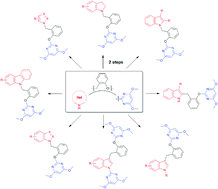 Graphical abstract: Design, step-economical diversity-oriented synthesis of an N-heterocyclic library containing a pyrimidine moiety: discovery of novel potential herbicidal agents