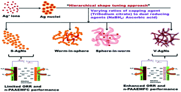 Graphical abstract: Shape-tuned, surface-active and support-free silver oxygen reduction electrocatalyst enabled high performance fully non-PGM alkaline fuel cell