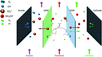 Graphical abstract: A coupling process of electrodialysis with oxime hydrolysis reaction for preparation of hydroxylamine sulfate