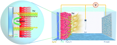 Graphical abstract: Improving light absorption and photoelectrochemical performance of thin-film photoelectrode with a reflective substrate