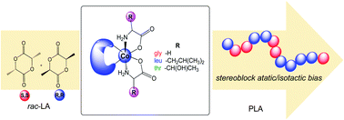 Graphical abstract: Towards a selective synthetic route for cobalt amino acid complexes and their application in ring opening polymerization of rac-lactide