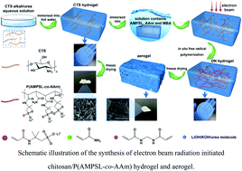 Graphical abstract: Radiation-initiated high strength chitosan/lithium sulfonate double network hydrogel/aerogel with porosity and stability for efficient CO2 capture