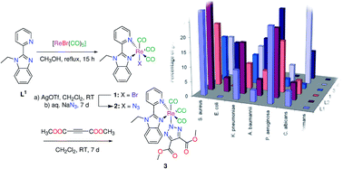 Graphical abstract: Tricarbonyl triazolato Re(i) compounds of pyridylbenzimidazole ligands: spectroscopic and antimicrobial activity evaluation