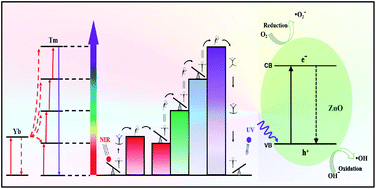 Graphical abstract: Y2O3:Yb3+, Tm3+/ZnO composite with a heterojunction structure and upconversion function for the photocatalytic degradation of organic dyes