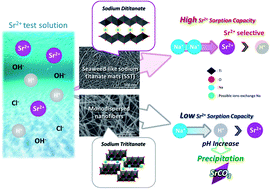 Graphical abstract: Sr2+ sorption property of seaweed-like sodium titanate mats: effects of crystallographic properties