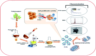 Graphical abstract: Biofabricated platinum nanoparticles: therapeutic evaluation as a potential nanodrug against breast cancer cells and drug-resistant bacteria