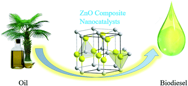 Graphical abstract: Heterogeneous ZnO-containing catalysts for efficient biodiesel production