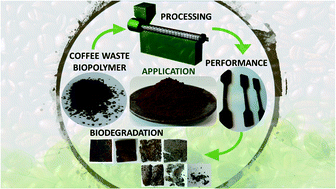 Graphical abstract: Spent coffee waste as a renewable source for the production of sustainable poly(butylene succinate) biocomposites from a circular economy perspective