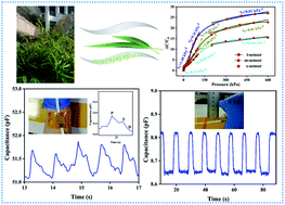 Graphical abstract: Natural bamboo leaves as dielectric layers for flexible capacitive pressure sensors with adjustable sensitivity and a broad detection range