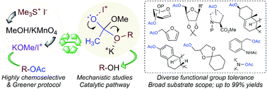 Graphical abstract: Me3SI-promoted chemoselective deacetylation: a general and mild protocol