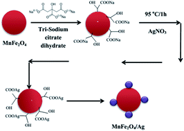 Graphical abstract: Sensitive MnFe2O4–Ag hybrid nanoparticles with photothermal and magnetothermal properties for hyperthermia applications