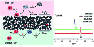 Graphical abstract: Tetramethylpyrazine: an electrolyte additive for high capacity and energy efficiency lithium–oxygen batteries