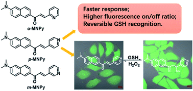 Graphical abstract: Structure modulation on fluorescent probes for biothiols and the reversible imaging of glutathione in living cells