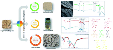 Graphical abstract: Fractionation and characterization of lignin from sugarcane bagasse using a sulfuric acid catalyzed solvothermal process