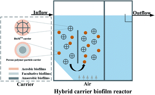 Graphical abstract: Study on COD and nitrogen removal efficiency of domestic sewage by hybrid carrier biofilm reactor