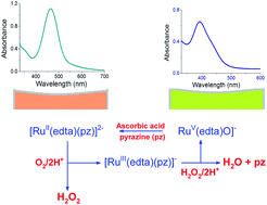 Graphical abstract: RuIII(edta) complexes as molecular redox catalysts in chemical and electrochemical reduction of dioxygen and hydrogen peroxide: inner-sphere versus outer-sphere mechanism