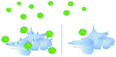 Graphical abstract: Active targeting of cancer cells by CD44 binding peptide-functionalized oil core-based nanocapsules