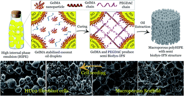 Graphical abstract: Porous scaffolds with the structure of an interpenetrating polymer network made by gelatin methacrylated nanoparticle-stabilized high internal phase emulsion polymerization targeted for tissue engineering