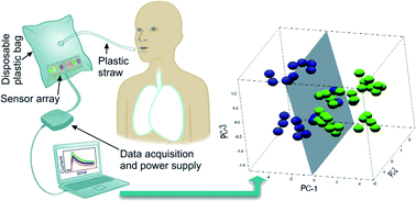 Graphical abstract: Exploring the performance of a functionalized CNT-based sensor array for breathomics through clustering and classification algorithms: from gas sensing of selective biomarkers to discrimination of chronic obstructive pulmonary disease