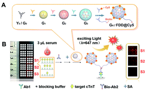Graphical abstract: High-throughput immunosensor chip coupled with a fluorescent DNA dendrimer for ultrasensitive detection of cardiac troponin T