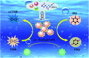 Graphical abstract: Sweetsop-like α-Fe2O3@CoNi catalyst with superior peroxidase-like activity for sensitive and selective detection of hydroquinone