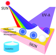 Graphical abstract: Ultraviolet light screen using cholesteric liquid crystal capsules on the basis of selective reflection