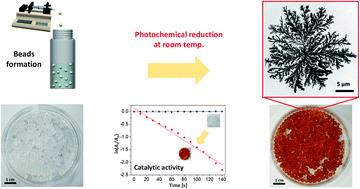 Graphical abstract: One-step green synthesis of 2D Ag-dendrite-embedded biopolymer hydrogel beads as a catalytic reactor