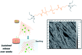 Graphical abstract: Encapsulation of BSA in hybrid PEG hydrogels: stability and controlled release