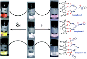 Graphical abstract: Calix[4]amido crown functionalized visible sensors for cyanide and iodide anions