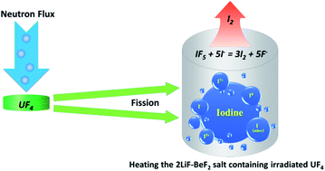 Graphical abstract: Transient release of radioactive iodine from the fission of UF4 in 2LiF–BeF2 salt