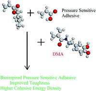 Graphical abstract: Bioinspired pressure-sensitive adhesive: evaluation of the effect of dopamine methacrylamide comonomer as a general property modifier using molecular dynamics simulation