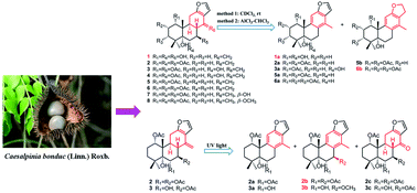 Graphical abstract: Acid-catalyzed transformation of cassane diterpenoids from Caesalpinia bonduc to aromatic derivatives