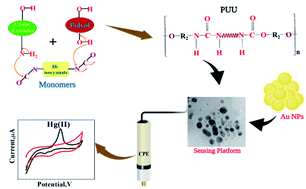 Graphical abstract: New sensing platform of poly(ester-urethane)urea doped with gold nanoparticles for rapid detection of mercury ions in fish tissue