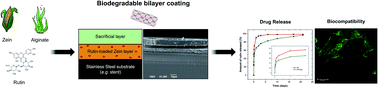 Graphical abstract: Development of biodegradable zein-based bilayer coatings for drug-eluting stents