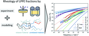 Graphical abstract: Connecting the complex microstructure of LDPE to its rheology and processing properties via a combined fractionation and modelling approach