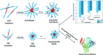 Graphical abstract: Self-assemblies of pluronic micelles in partitioning of anticancer drugs and effectiveness of this system towards target protein