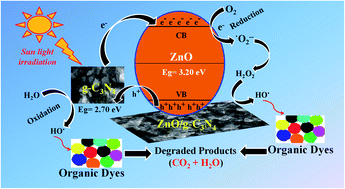 Graphical abstract: Sunlight-assisted degradation of textile pollutants and phytotoxicity evaluation using mesoporous ZnO/g-C3N4 catalyst