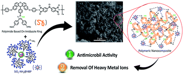 Graphical abstract: Design and fabrication of photoactive imidazole-based poly(ether-imide)s and a polyimide/HBP-modified SiO2 composite: toward high heat-resistance, antimicrobial activity and removal of heavy metal ions