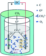 Graphical abstract: Electrochemical conversion of CO2 into value-added carbon with desirable structures via molten carbonates electrolysis