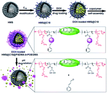 Graphical abstract: ATRP-based synthesis of a pH-sensitive amphiphilic block polymer and its self-assembled micelles with hollow mesoporous silica as DOX carriers for controlled drug release