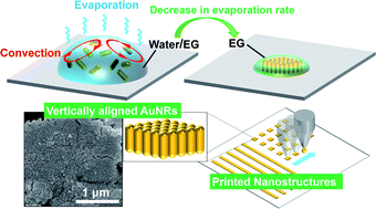 Graphical abstract: Facile fabrication of self-assembled nanostructures of vertically aligned gold nanorods by using inkjet printing