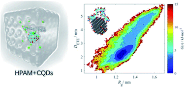 Graphical abstract: Molecular dynamics insight into viscosity reduction of hydrolysed polyacrylamide by using carbon quantum dots