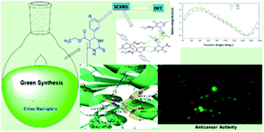 Graphical abstract: Green synthesis, structural analysis and anticancer activity of dihydropyrimidinone derivatives