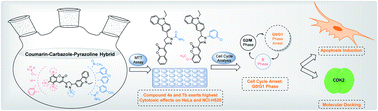 Graphical abstract: Coumarin–carbazole based functionalized pyrazolines: synthesis, characterization, anticancer investigation and molecular docking